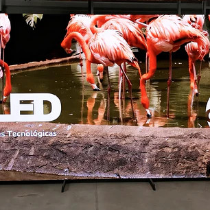 Pantalla LED P2.5 Indoor Fija