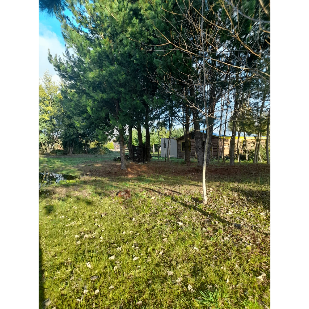 PARCELA CON CASA Y CABAÑA A ORILLA CARRETERA RUTA FREIRE A VILLARRICA SECTOR PUQUEREO