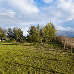 PARCELA CON CASA Y CABAÑA A ORILLA CARRETERA RUTA FREIRE A VILLARRICA SECTOR PUQUEREO