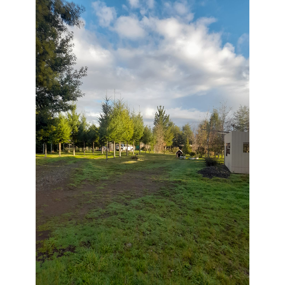 PARCELA CON CASA Y CABAÑA A ORILLA CARRETERA RUTA FREIRE A VILLARRICA SECTOR PUQUEREO