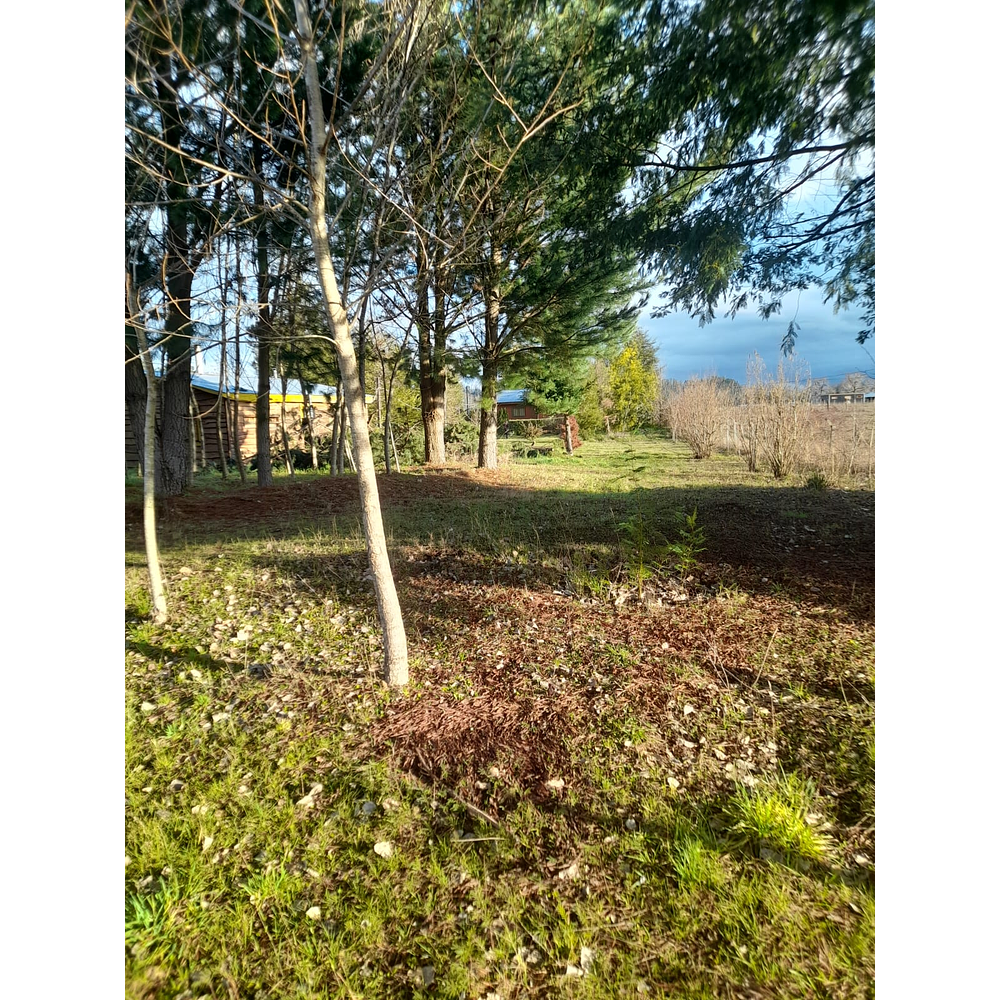 PARCELA CON CASA Y CABAÑA A ORILLA CARRETERA RUTA FREIRE A VILLARRICA SECTOR PUQUEREO