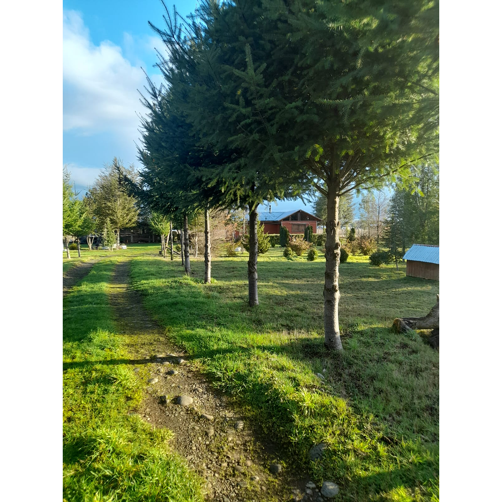 PARCELA CON CASA Y CABAÑA A ORILLA CARRETERA RUTA FREIRE A VILLARRICA SECTOR PUQUEREO