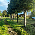 PARCELA CON CASA Y CABAÑA A ORILLA CARRETERA RUTA FREIRE A VILLARRICA SECTOR PUQUEREO