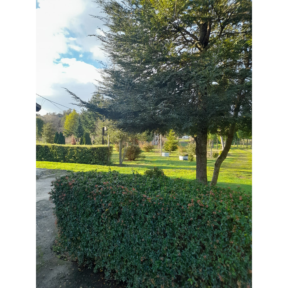 PARCELA CON CASA Y CABAÑA A ORILLA CARRETERA RUTA FREIRE A VILLARRICA SECTOR PUQUEREO