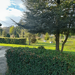 PARCELA CON CASA Y CABAÑA A ORILLA CARRETERA RUTA FREIRE A VILLARRICA SECTOR PUQUEREO