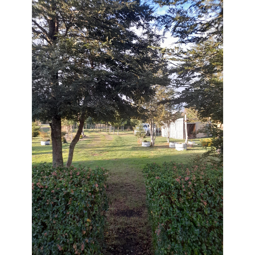 PARCELA CON CASA Y CABAÑA A ORILLA CARRETERA RUTA FREIRE A VILLARRICA SECTOR PUQUEREO