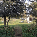 PARCELA CON CASA Y CABAÑA A ORILLA CARRETERA RUTA FREIRE A VILLARRICA SECTOR PUQUEREO