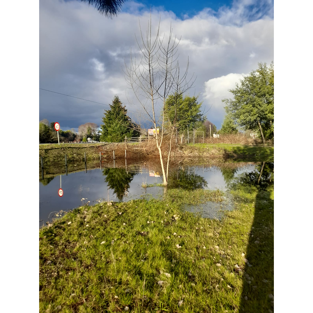 PARCELA CON CASA Y CABAÑA A ORILLA CARRETERA RUTA FREIRE A VILLARRICA SECTOR PUQUEREO