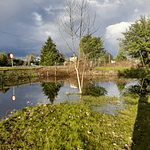 PARCELA CON CASA Y CABAÑA A ORILLA CARRETERA RUTA FREIRE A VILLARRICA SECTOR PUQUEREO
