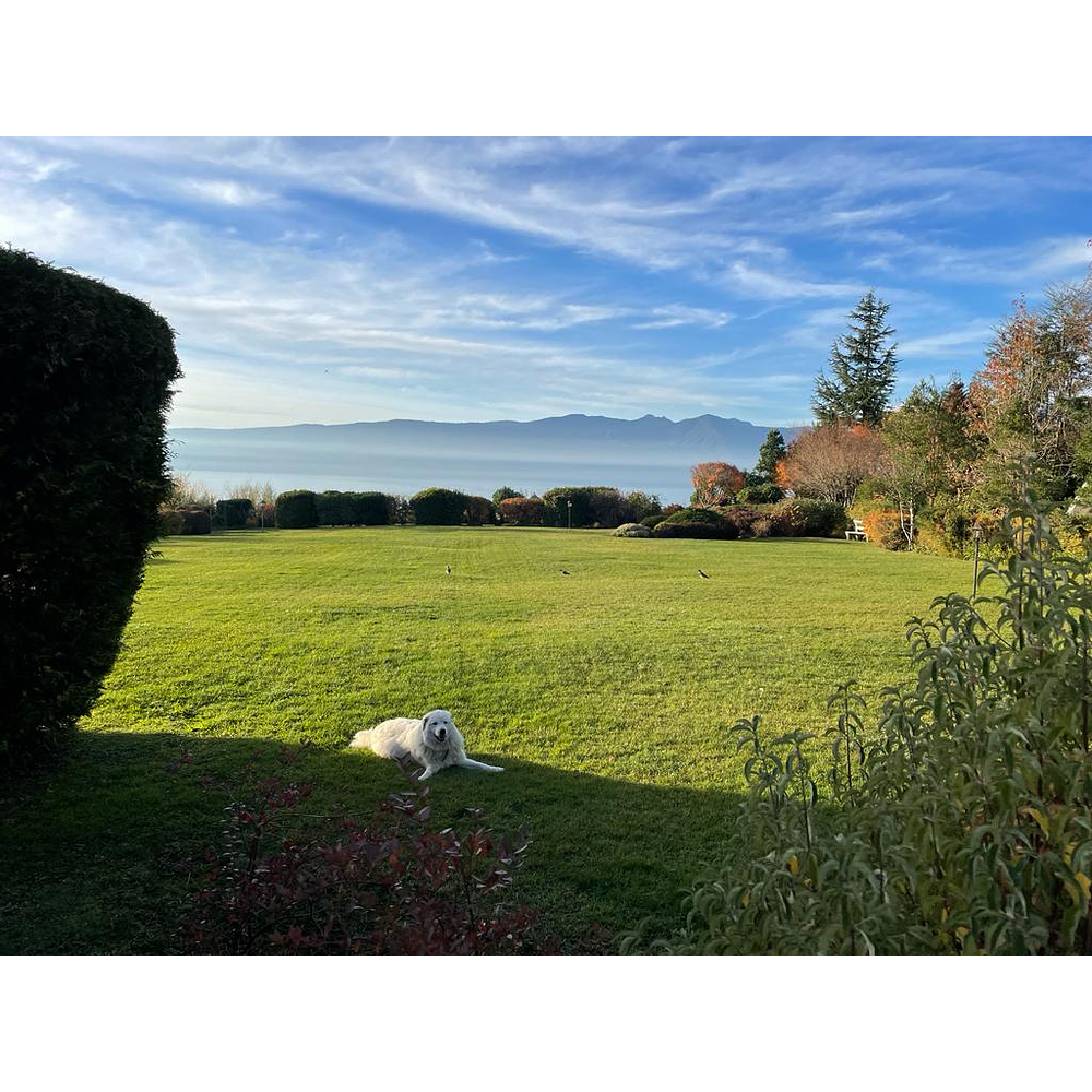 EXCLUSIVA CASA EN PARCELA – PISCINA- VISTA PANORAMICA LAGO VILLARRICA – SECTOR LOS RISCOS