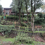 EXCLUSIVA PARCELA CON CASA Y CABAÑA A ORILLAS RIO TOLTÉN Y DESEMBOCADURA RÍO PEDREGOSOS-VILLARRICA