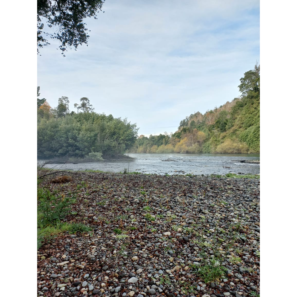 EXCLUSIVA PARCELA CON CASA Y CABAÑA A ORILLAS RIO TOLTÉN Y DESEMBOCADURA RÍO PEDREGOSOS-VILLARRICA