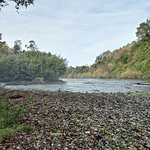EXCLUSIVA PARCELA CON CASA Y CABAÑA A ORILLAS RIO TOLTÉN Y DESEMBOCADURA RÍO PEDREGOSOS-VILLARRICA