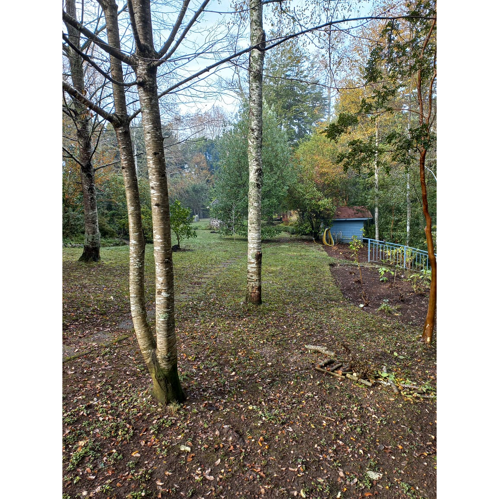 EXCLUSIVA PARCELA CON CASA Y CABAÑA A ORILLAS RIO TOLTÉN Y DESEMBOCADURA RÍO PEDREGOSOS-VILLARRICA