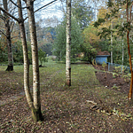 EXCLUSIVA PARCELA CON CASA Y CABAÑA A ORILLAS RIO TOLTÉN Y DESEMBOCADURA RÍO PEDREGOSOS-VILLARRICA