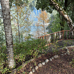 EXCLUSIVA PARCELA CON CASA Y CABAÑA A ORILLAS RIO TOLTÉN Y DESEMBOCADURA RÍO PEDREGOSOS-VILLARRICA