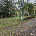 EXCLUSIVA PARCELA CON CASA Y CABAÑA A ORILLAS RIO TOLTÉN Y DESEMBOCADURA RÍO PEDREGOSOS-VILLARRICA