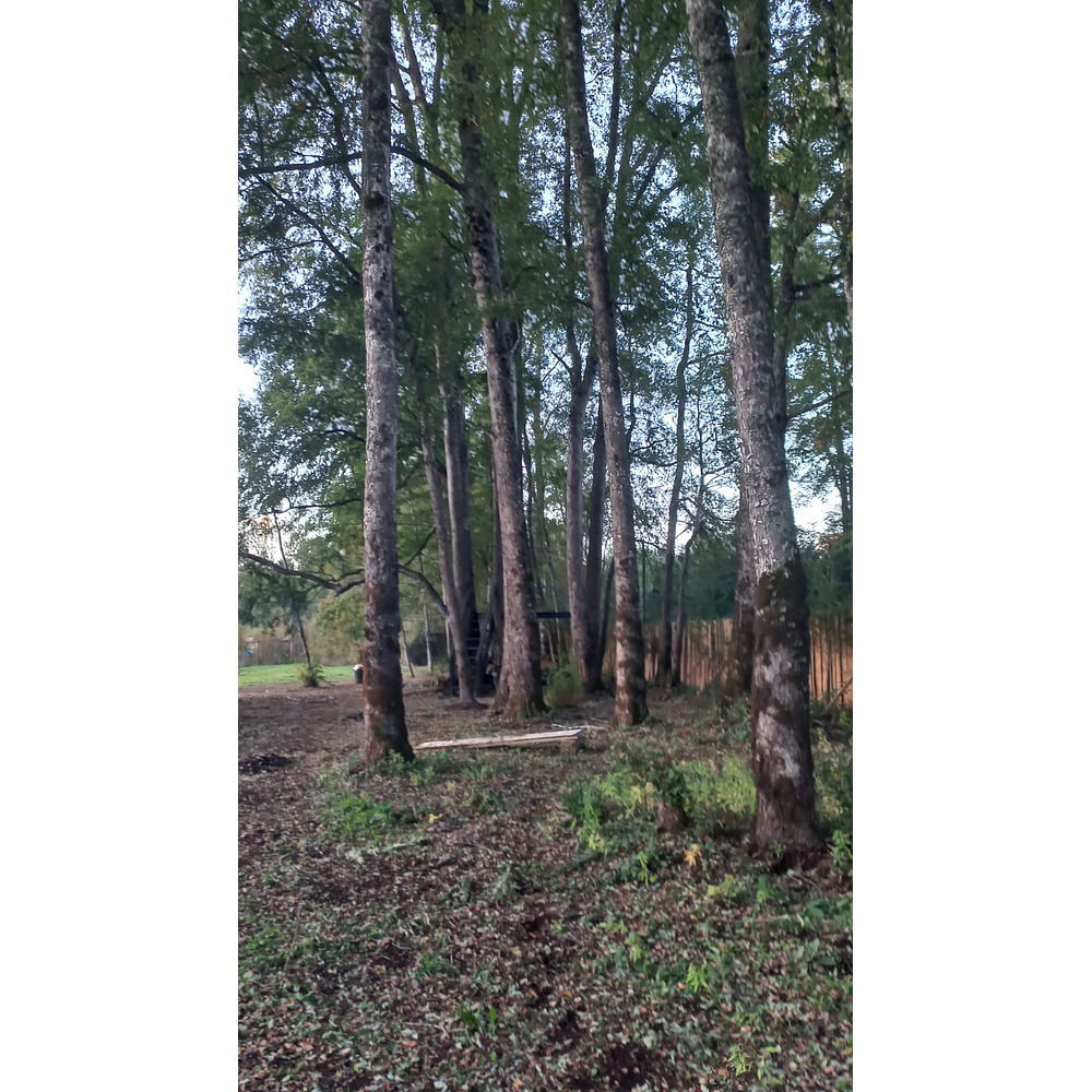 CASA NUEVA, ESTILO MODERNO SECTOR PLAYA LINDA – SECTOR LEFUN 