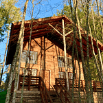 CABAÑAS COYANCO VENTA POR LOTES O TODO – SECTOR PUTUE – VILLARRICA.