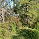 CABAÑAS COYANCO VENTA POR LOTES O TODO – SECTOR PUTUE – VILLARRICA.