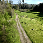 CABAÑAS COYANCO VENTA POR LOTES O TODO – SECTOR PUTUE – VILLARRICA.