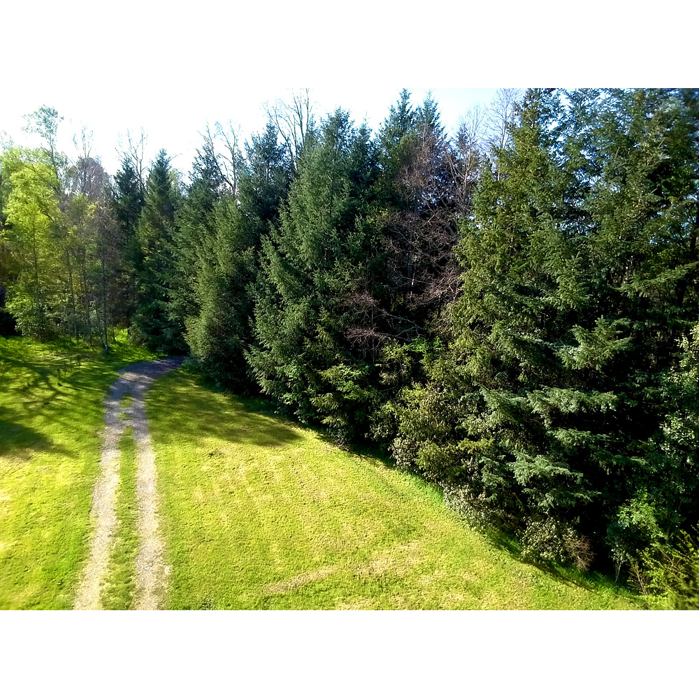 CABAÑAS COYANCO VENTA POR LOTES O TODO – SECTOR PUTUE – VILLARRICA.