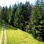 CABAÑAS COYANCO VENTA POR LOTES O TODO – SECTOR PUTUE – VILLARRICA.