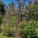 CABAÑAS COYANCO VENTA POR LOTES O TODO – SECTOR PUTUE – VILLARRICA.