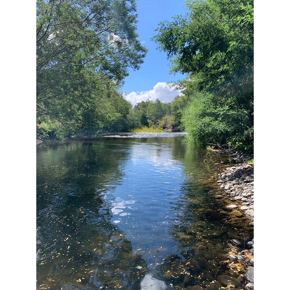 CABAÑAS COYANCO VENTA POR LOTES O TODO – SECTOR PUTUE – VILLARRICA.