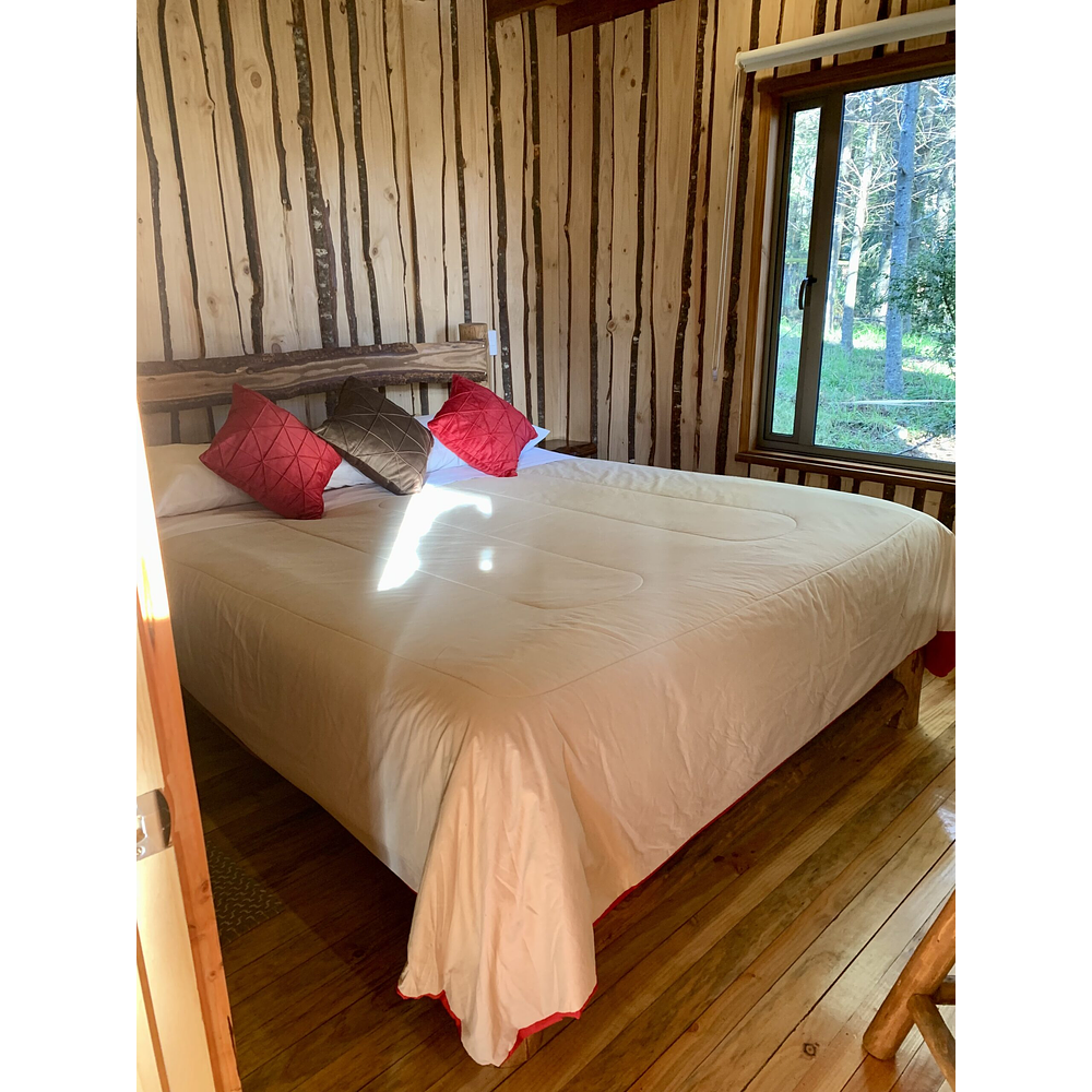 CABAÑAS COYANCO VENTA POR LOTES O TODO – SECTOR PUTUE – VILLARRICA.