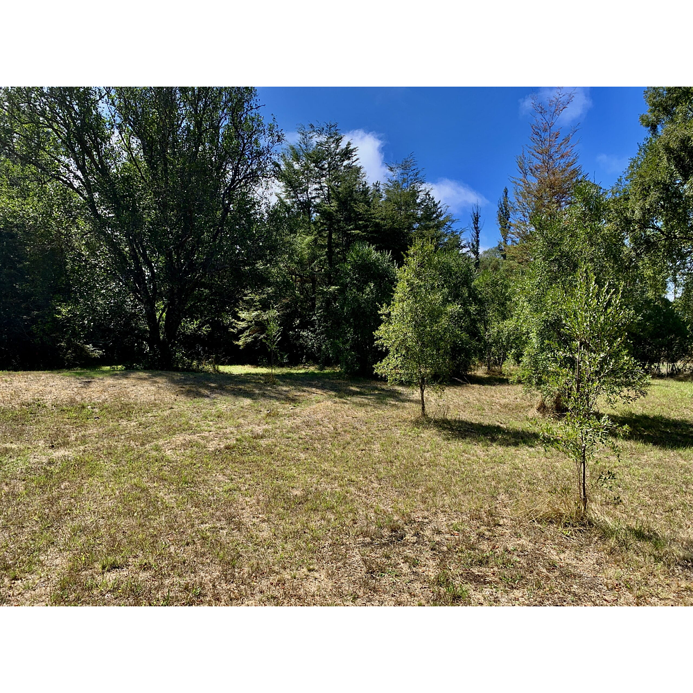 CASA CON ORILLA DE RIO – SECTOR PUTUE ALTO-VILLARRICA