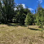 CASA CON ORILLA DE RIO – SECTOR PUTUE ALTO-VILLARRICA