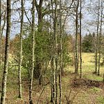 CASA CON ORILLA DE RIO – SECTOR PUTUE ALTO-VILLARRICA