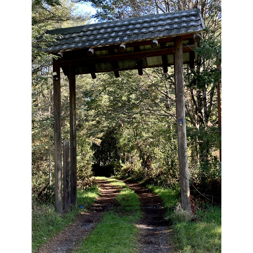 CASA CON ORILLA DE RIO – SECTOR PUTUE ALTO-VILLARRICA