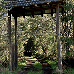 CASA CON ORILLA DE RIO – SECTOR PUTUE ALTO-VILLARRICA