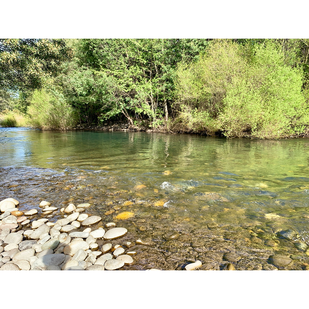 CASA CON ORILLA DE RIO – SECTOR PUTUE ALTO-VILLARRICA