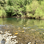 CASA CON ORILLA DE RIO – SECTOR PUTUE ALTO-VILLARRICA