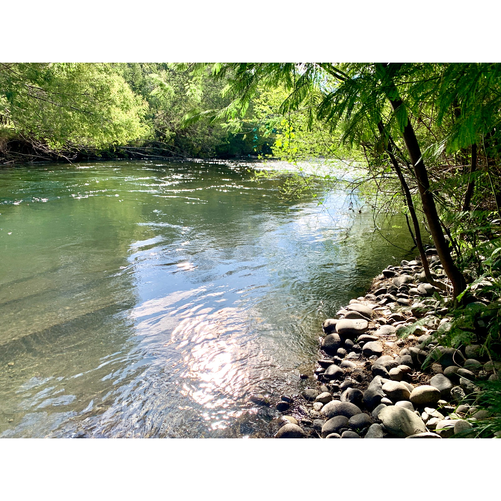 CASA CON ORILLA DE RIO – SECTOR PUTUE ALTO-VILLARRICA