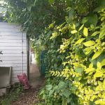 VENTA O ARRIENDO CASA EN CALLE GRAL. URRUTIA SECTOR CENTRICO DE VILLARRICA