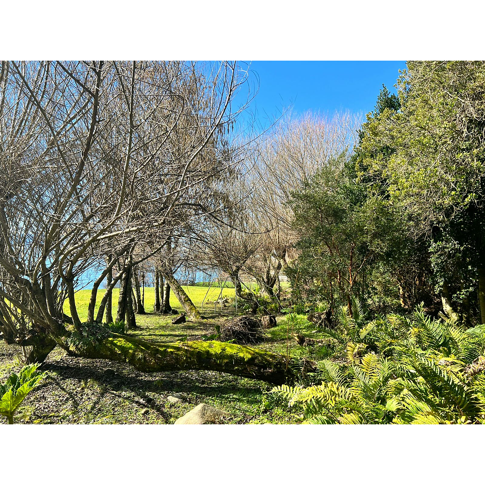 CASA CON ORILLA DE LAGO – SECTOR LOS GUINDOS – VILLARRICA