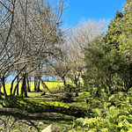 CASA CON ORILLA DE LAGO – SECTOR LOS GUINDOS – VILLARRICA