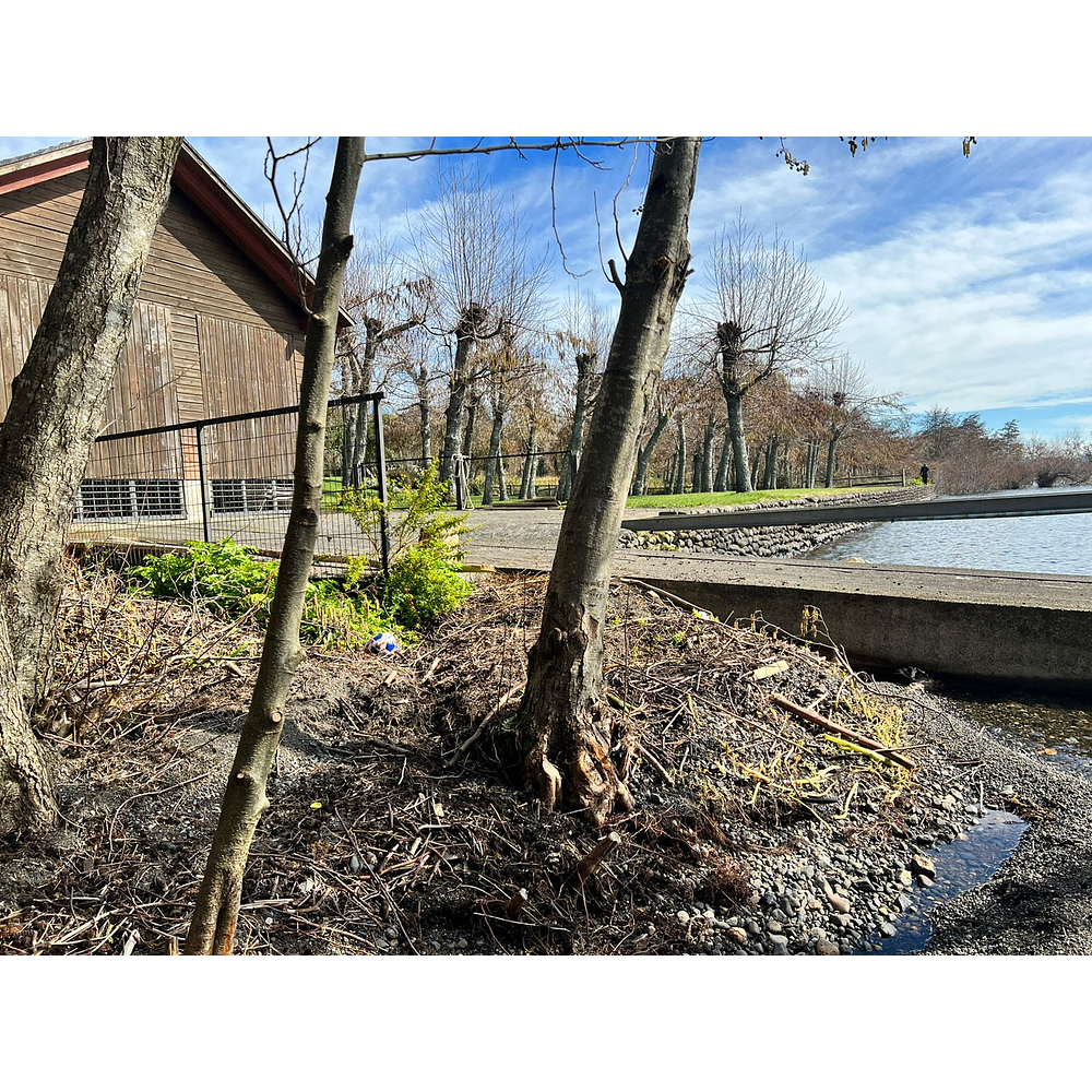 CASA CON ORILLA DE LAGO – SECTOR LOS GUINDOS – VILLARRICA