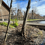 CASA CON ORILLA DE LAGO – SECTOR LOS GUINDOS – VILLARRICA