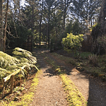 CASA CON PISCINA, VISTA AL LAGO, HERMOSO JARDÍN – SUBIDA AL VOLCÁN – PUCON