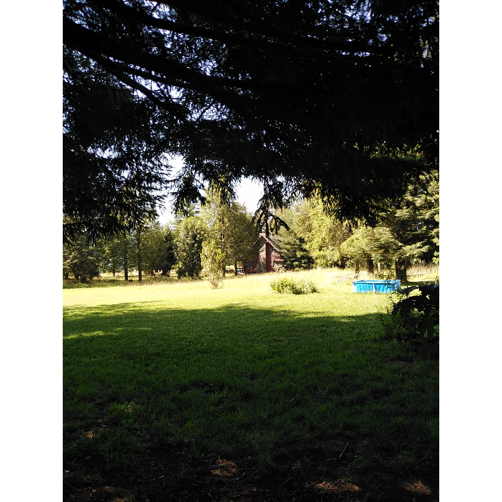 PARCELAS (2) CON DOS CABAÑAS SECTOR CANDELARIA – VILLARRICA