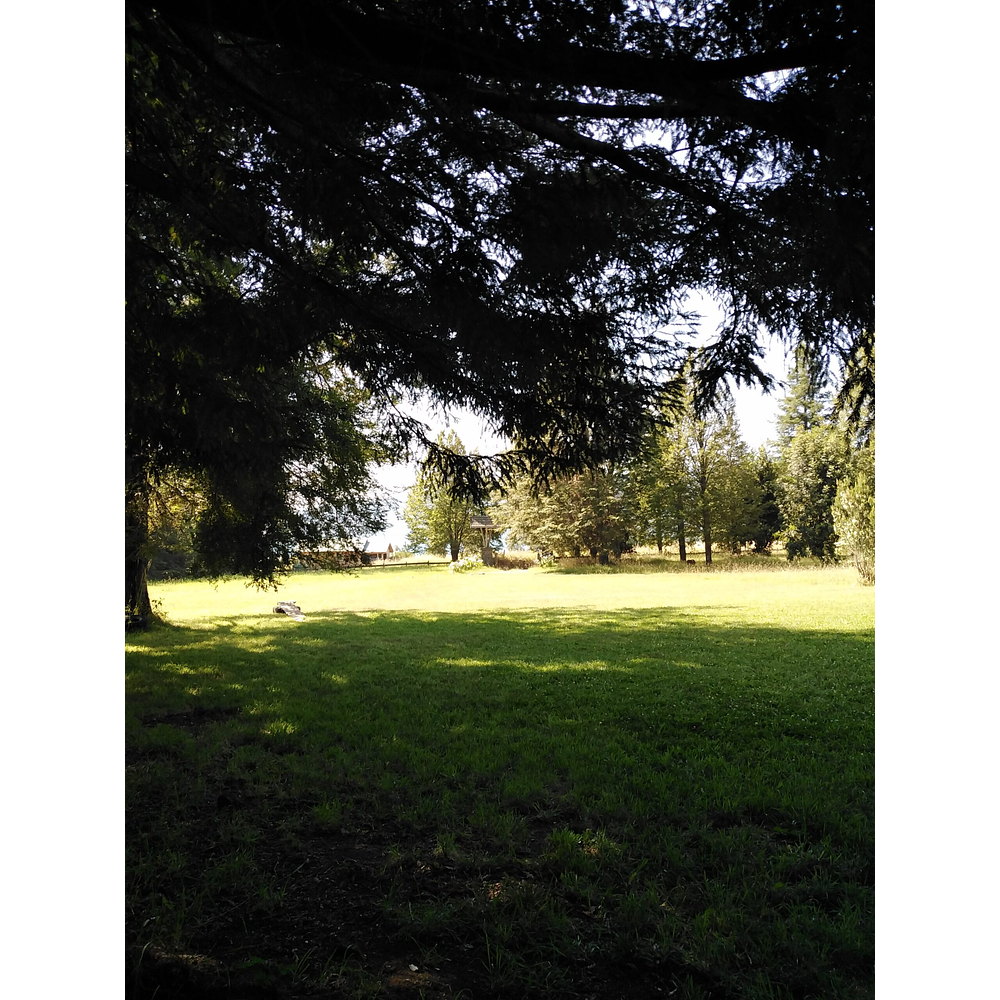 PARCELAS (2) CON DOS CABAÑAS SECTOR CANDELARIA – VILLARRICA