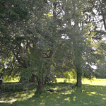 PARCELAS (2) CON DOS CABAÑAS SECTOR CANDELARIA – VILLARRICA