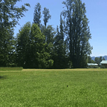 PARCELAS (2) CON DOS CABAÑAS SECTOR CANDELARIA – VILLARRICA