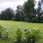 PARCELAS (2) CON DOS CABAÑAS SECTOR CANDELARIA – VILLARRICA