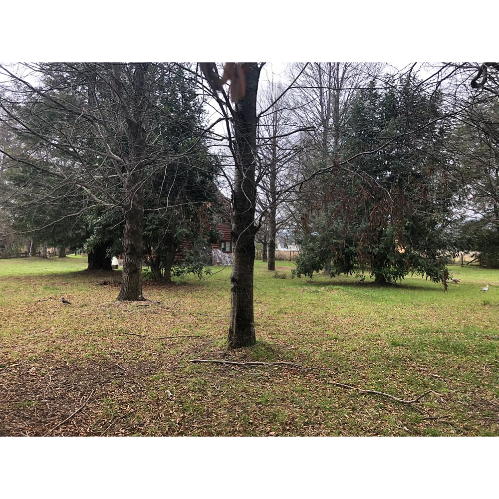 PARCELAS (2) CON DOS CABAÑAS SECTOR CANDELARIA – VILLARRICA